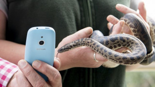 Култова игра на обновения ретро телефон Nokia 5310 в Деня на змията