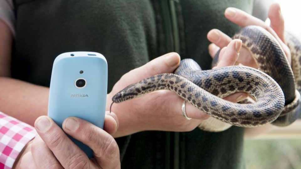 Култова игра на обновения ретро телефон Nokia 5310 в Деня на змията | StandartNews.com