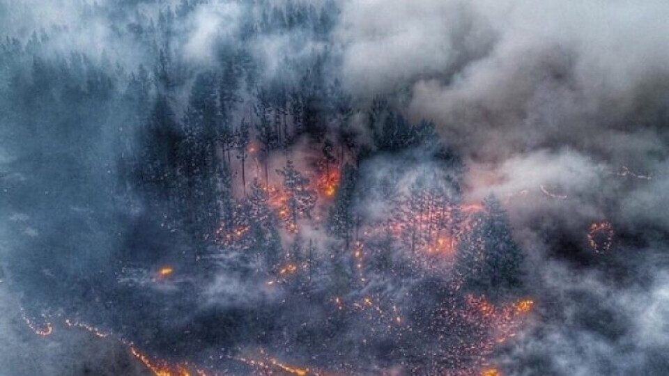Пожарите в Сибир стигнаха до градовете | StandartNews.com
