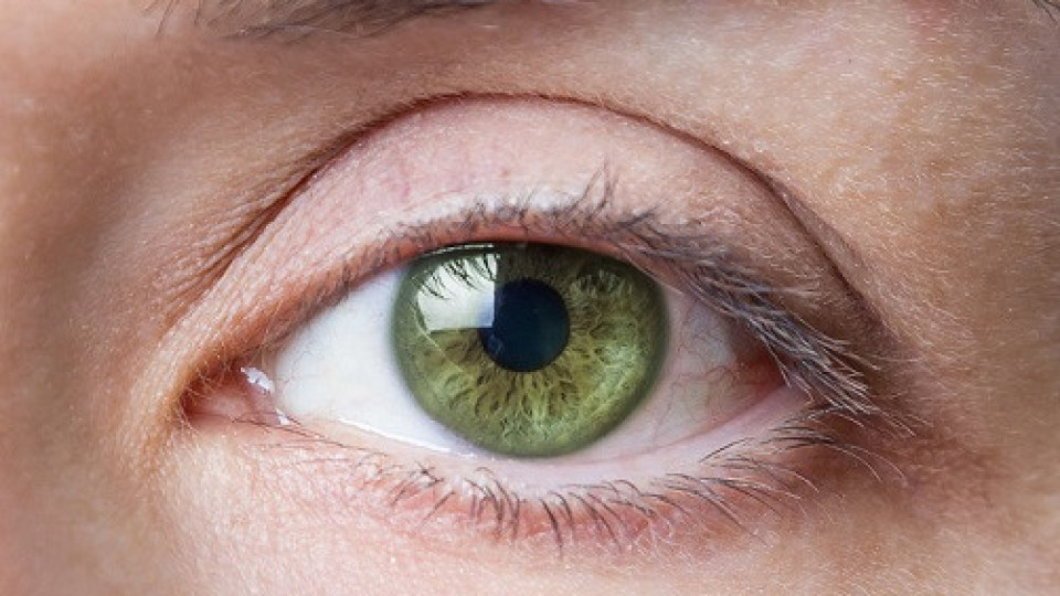 Никой не се ражда със зелени очи | StandartNews.com