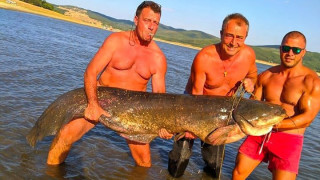 Рибари хванаха истинско чудовище в язовир