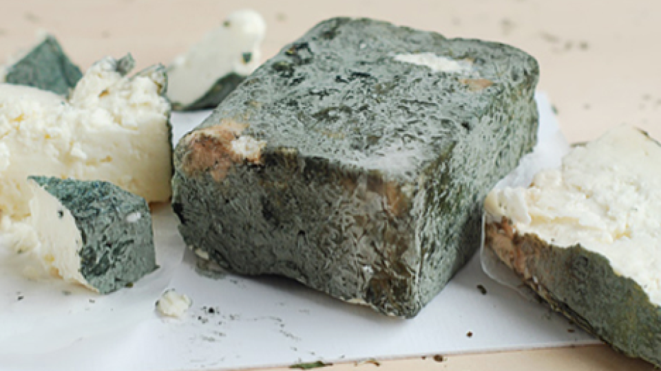 Намериха сирене с опасна бактерия у нас | StandartNews.com