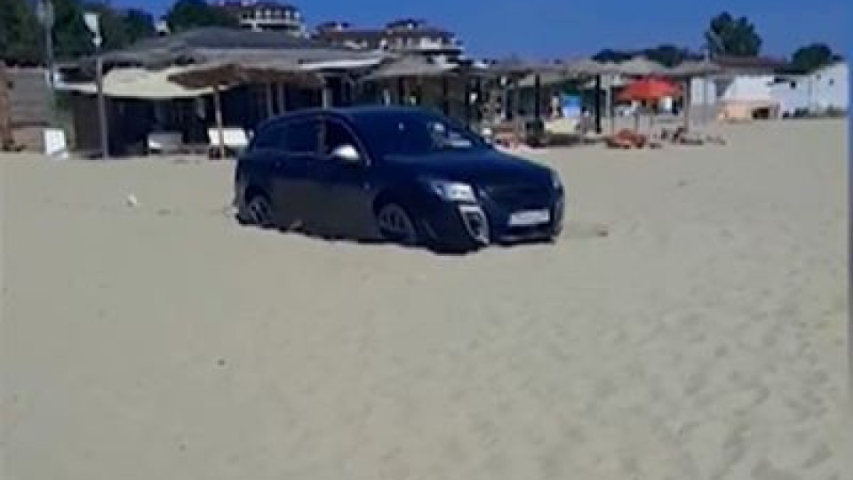 Шофьор паркира на плажа за селфи с кучета | StandartNews.com