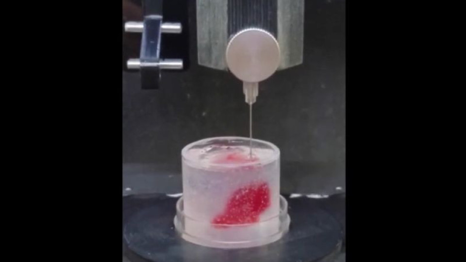 Учени създадоха истинско сърце на 3D принтер (ВИДЕО) | StandartNews.com
