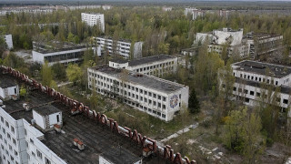 Чернобилска плесен пази астронавтите от радиация