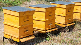 Нова е-система в помощ на пчеларите