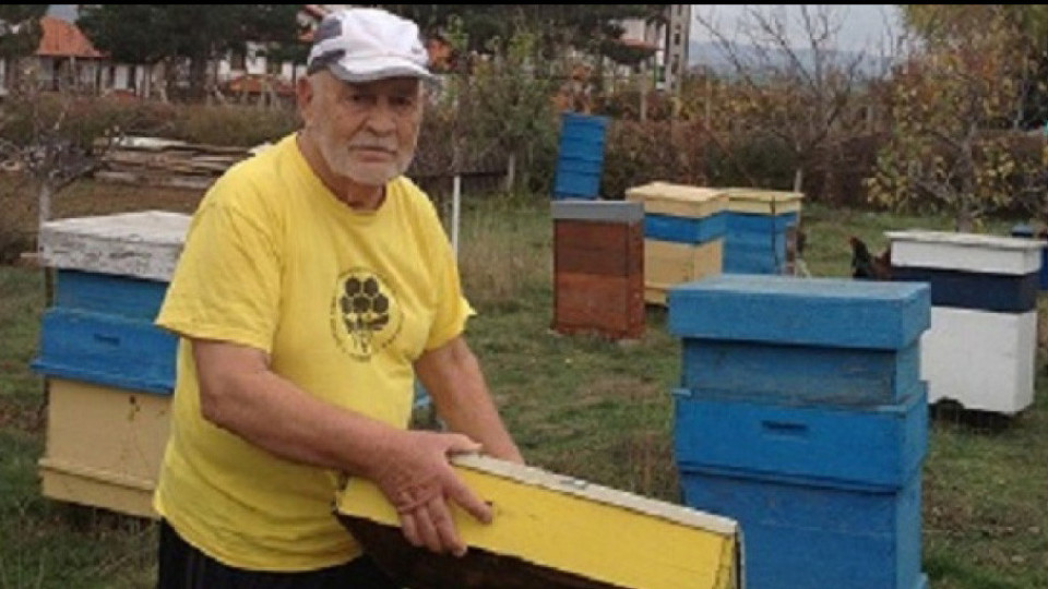 Почина Царят на пчелите | StandartNews.com