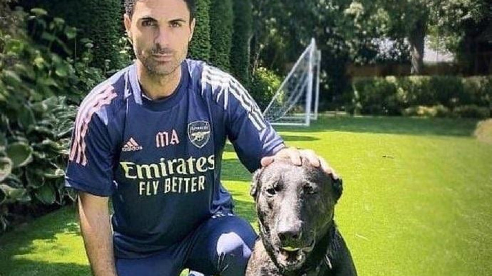 Футболен мениджър си купи куче за 20 000 паунда | StandartNews.com