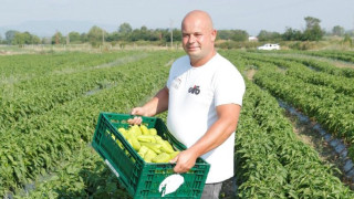 В какво е ключът към качествената българска продукция?