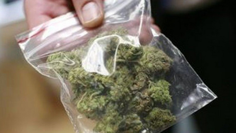 Ужилване: Вместо марихуана - суха трева за 2 бона | StandartNews.com