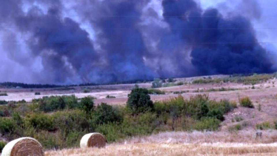 Пожари вкараха общини в бедствено положение | StandartNews.com