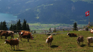 Швейцария ни чака, Германия ни спира