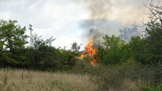 Продължава борбата с пожара край Лесово