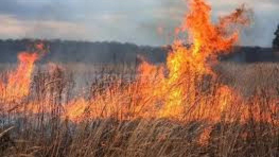 Нов пожар в Хасковско | StandartNews.com