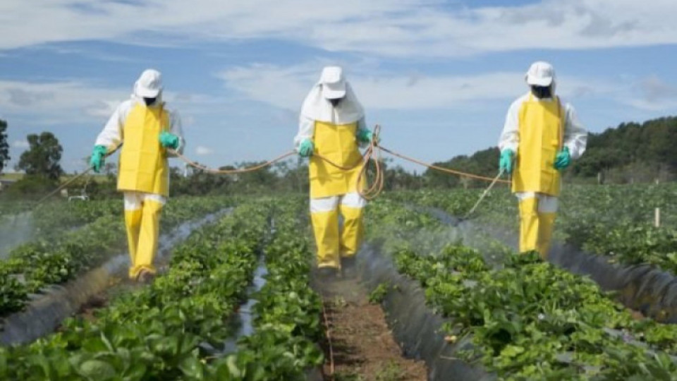Открити са 100 тона загробени пестициди | StandartNews.com