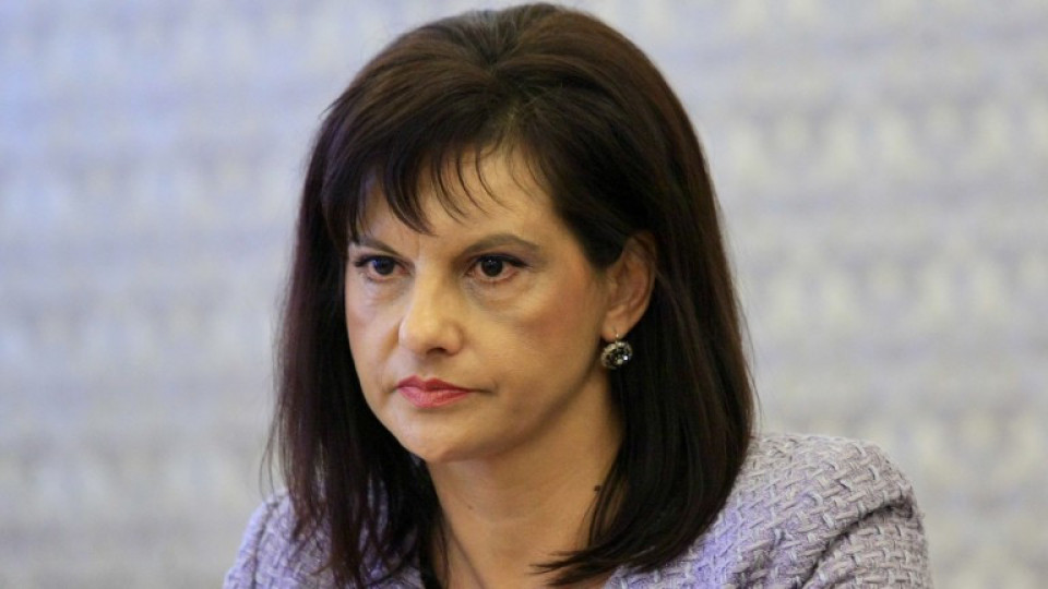 Дариткова: Не търсим конституционно мнозинство | StandartNews.com