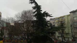 Жълт код за бури с градушки