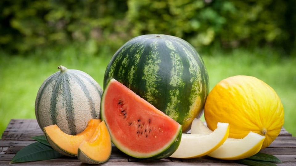 Наблегнете на тези плодове през август | StandartNews.com