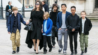 Анджелина Джоли напуска Америка