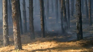 Опасният огнен ад край Свиленград се разраства