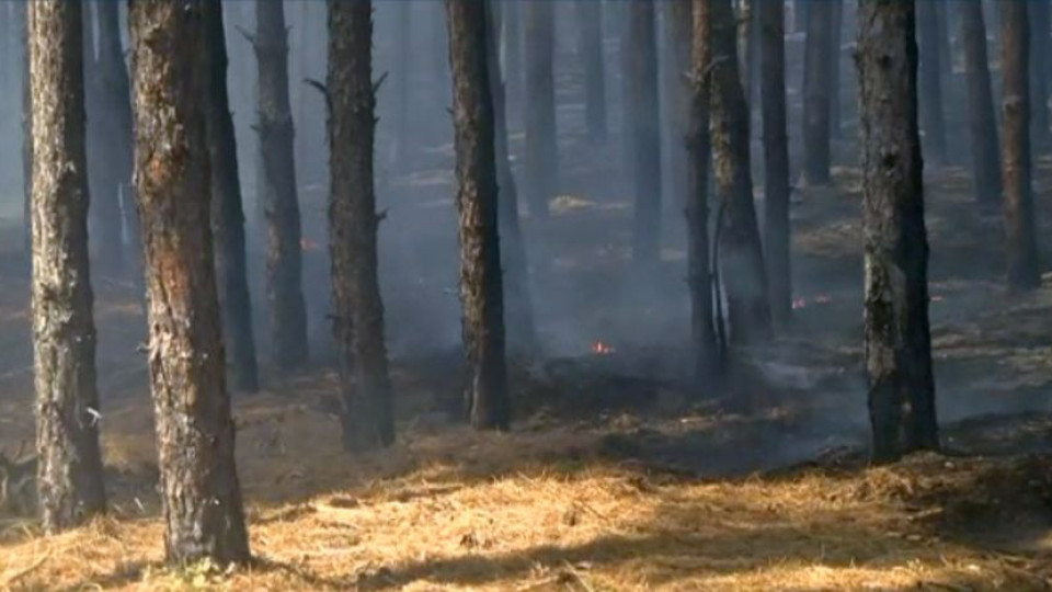 Опасният огнен ад край Свиленград се разраства | StandartNews.com