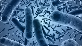 Какво са антивитамините и ще борят ли бактериите