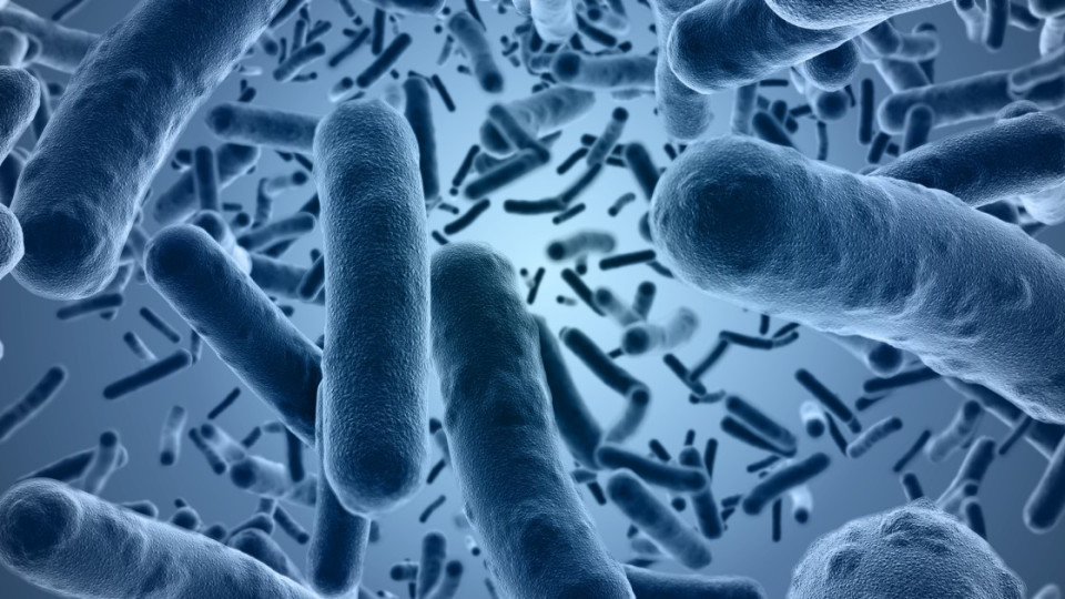 Какво са антивитамините и ще борят ли бактериите | StandartNews.com