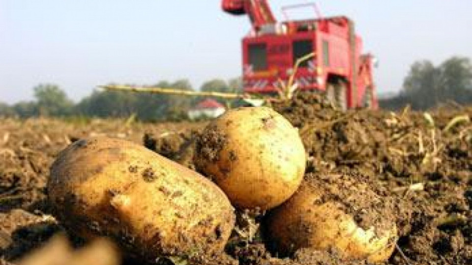 ЕК подкрепя земеделци с 56,6 млн. лева | StandartNews.com