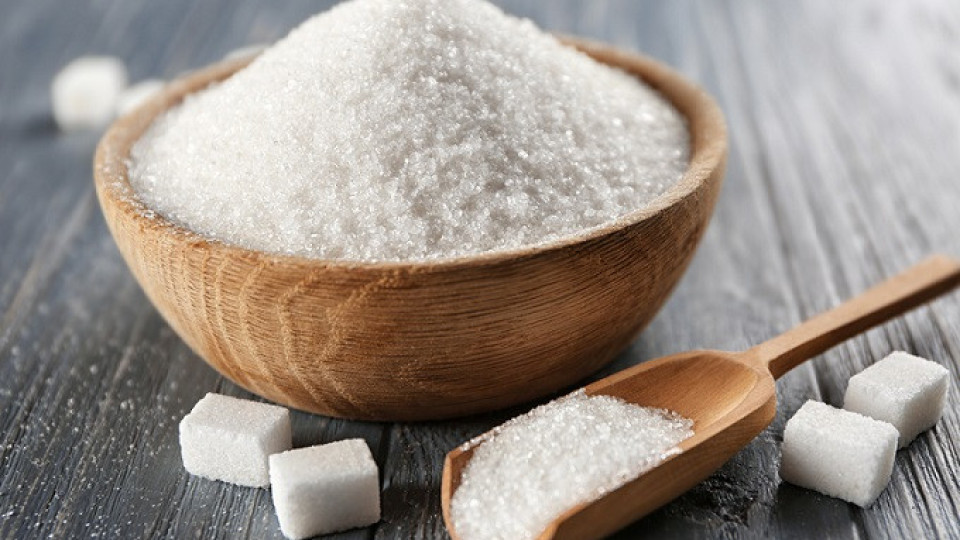 Захарта руши имунитета | StandartNews.com