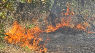 Жега и опасност от пожари в 8 области