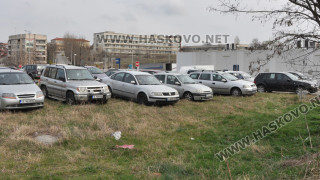 1400 коли на тревата в София