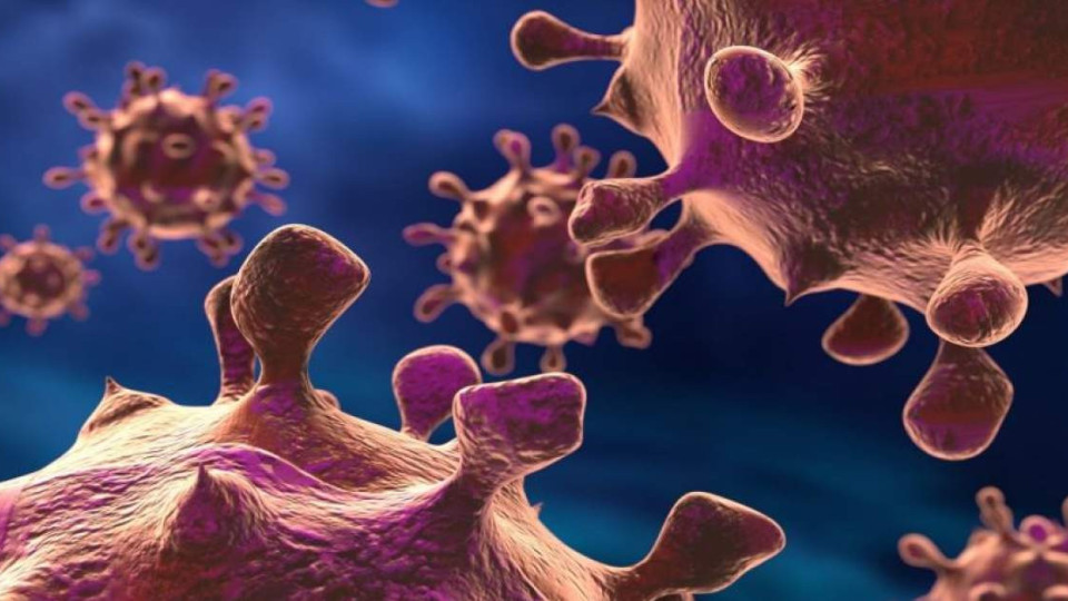 Супербактериите - по-голям мор от вируса | StandartNews.com