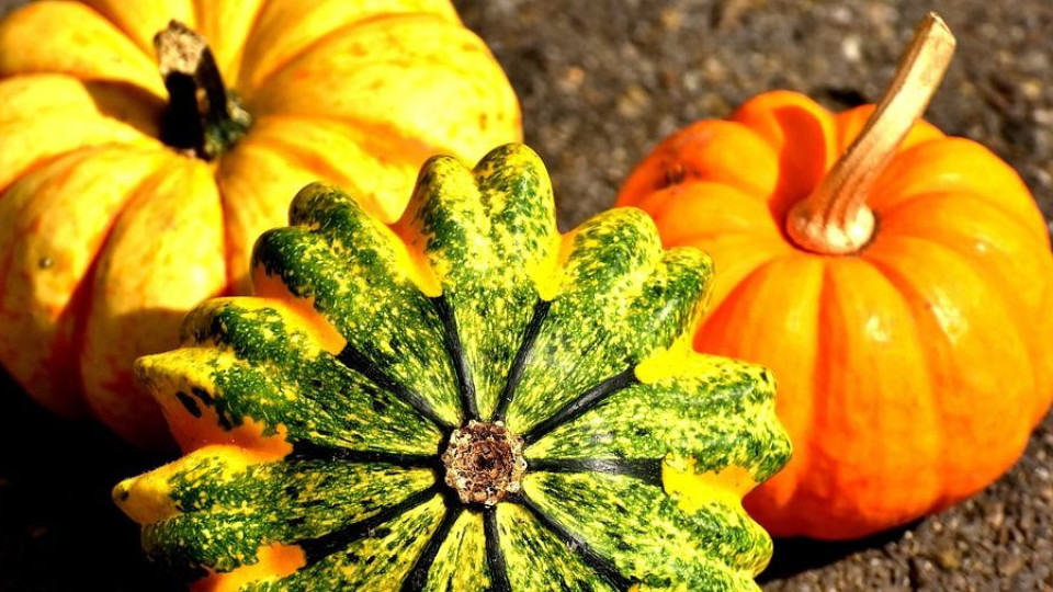 Най-добрата есенна диета – тиквата | StandartNews.com