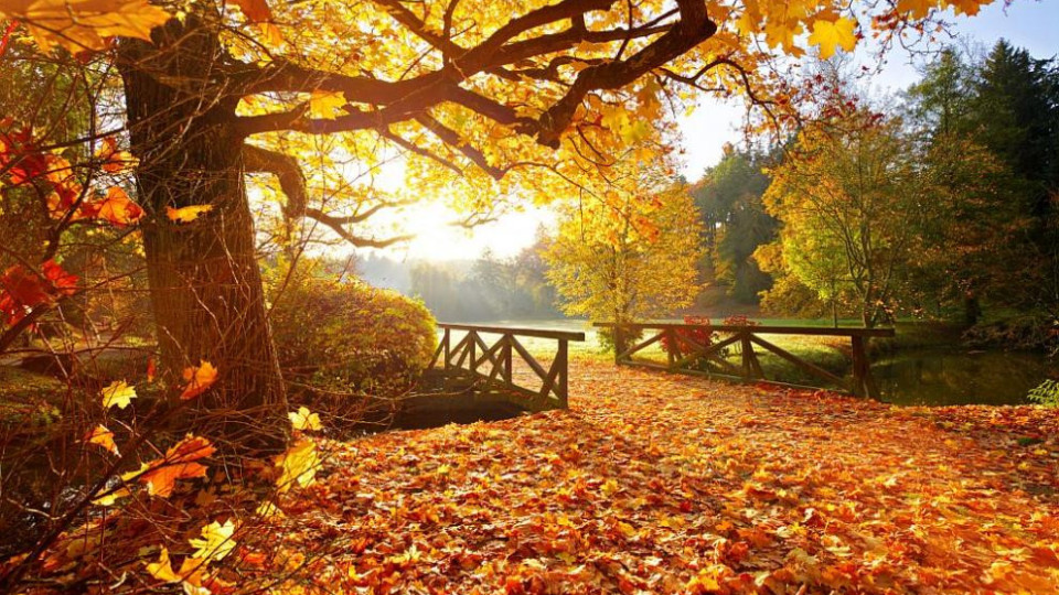 Есента идва с много слънце | StandartNews.com