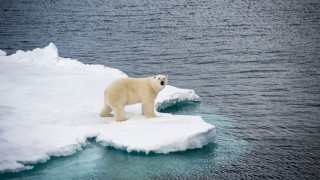 Ледът в Северния ледовит океан се топи критично
