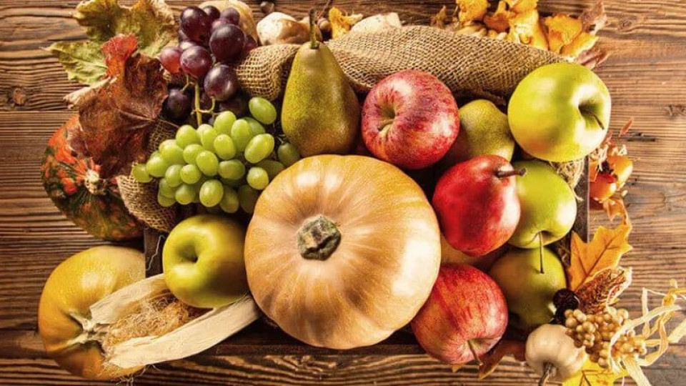 Кои есенни храни ще ни заредят с енергия за зимата | StandartNews.com
