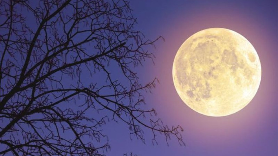 Защо Луната е опасна? | StandartNews.com