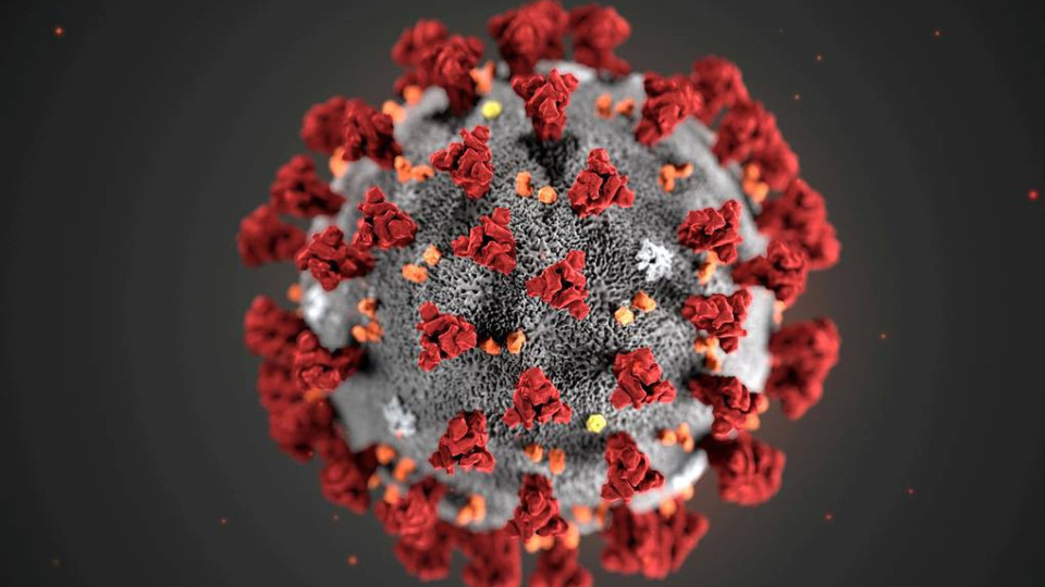 Как да борите коронавируса с мерки у дома | StandartNews.com