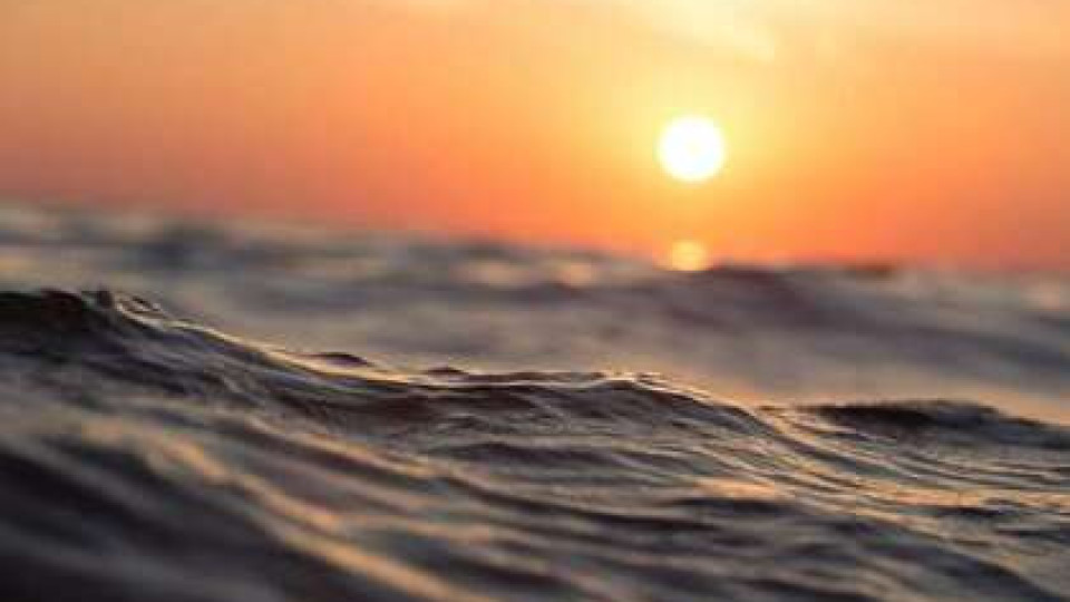 Учени: Идва екокатастрофа в океаните | StandartNews.com