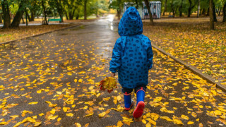 Мрачно утро, дъждовен ден