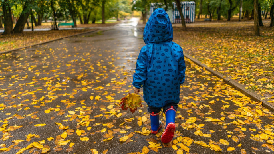 Мрачно утро, дъждовен ден | StandartNews.com