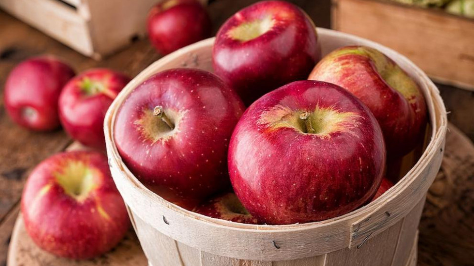 Кои са най-полезните ябълки | StandartNews.com