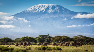 Драма на Килиманджаро, има ли пострадали