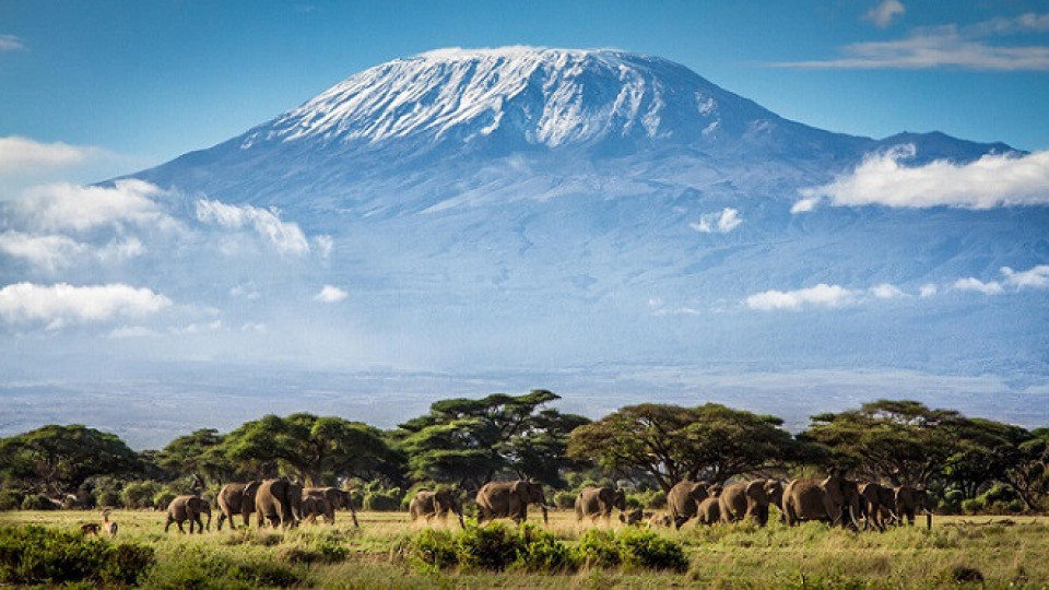 Килиманджаро е в пламъци | StandartNews.com