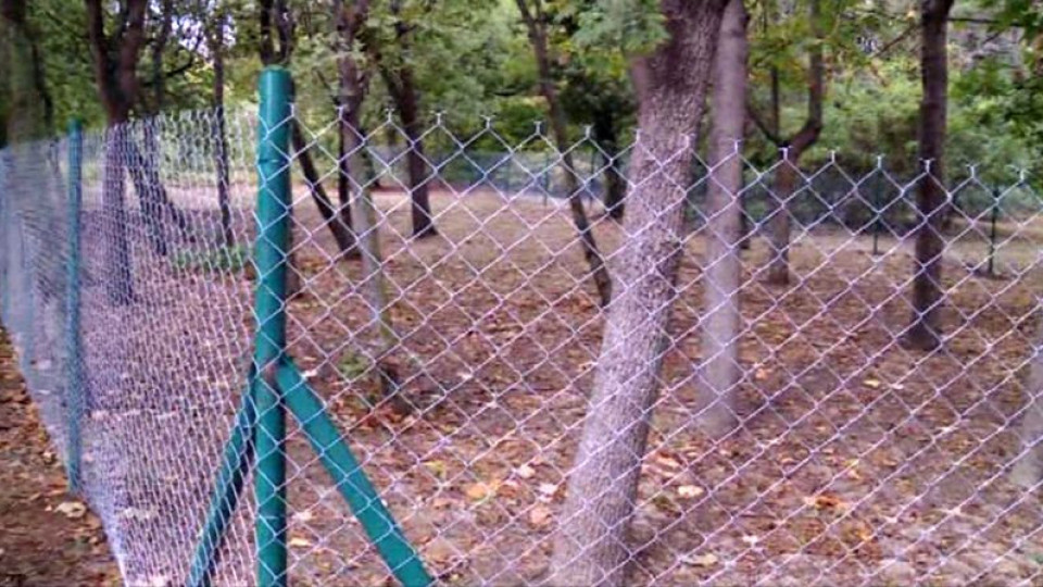 Частна ограда лъсна в Морската градина на Варна | StandartNews.com