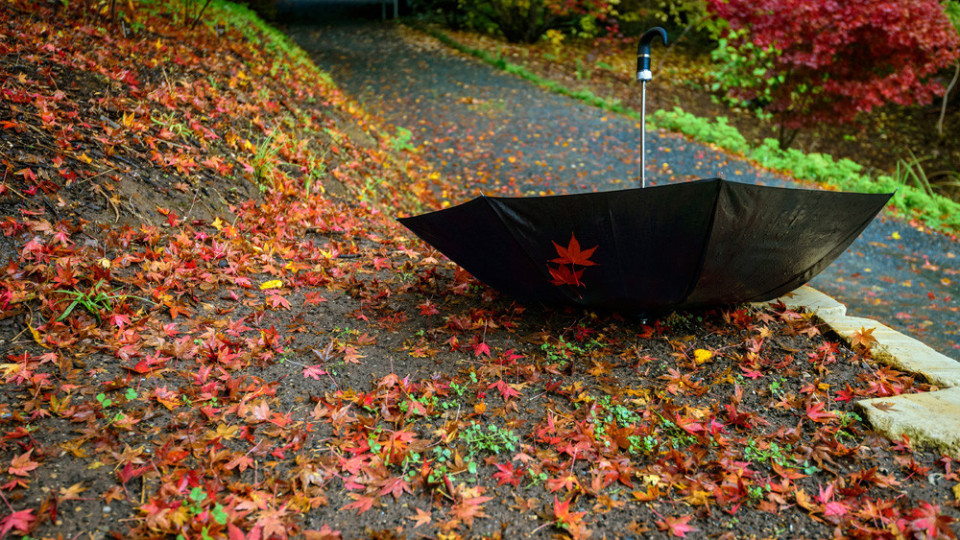 Навън с чадър и яке. Замириса на зима | StandartNews.com