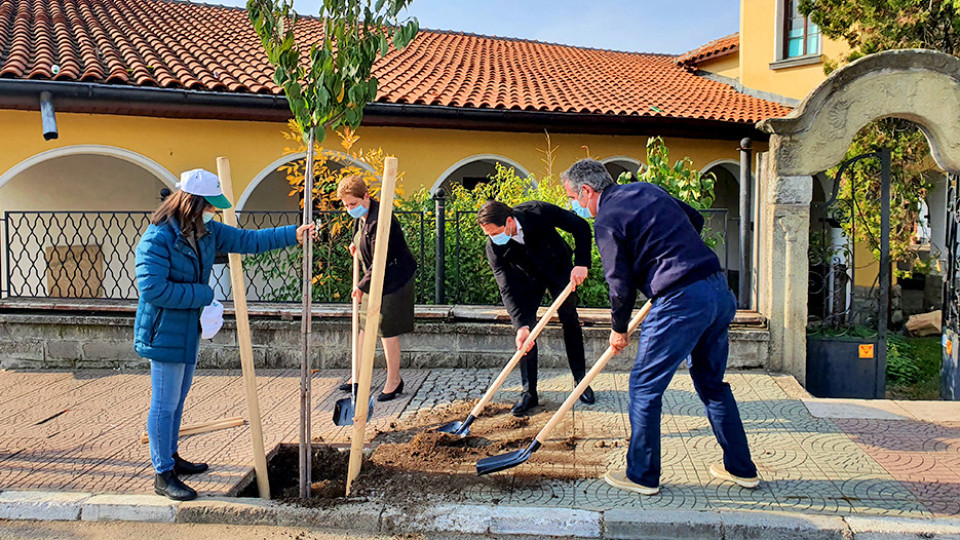 Засадиха 45 дървета в Мирково по програма „Нашето зелено утре" | StandartNews.com