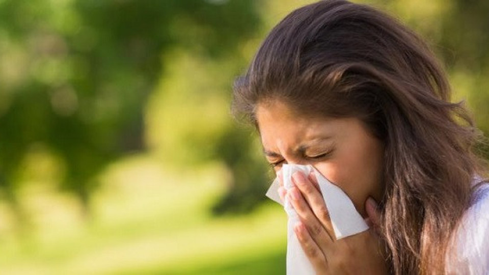 Вместо антибиотик - 10 билки срещу настинка | StandartNews.com
