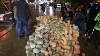 Изсипаха тикви пред Народното събрание