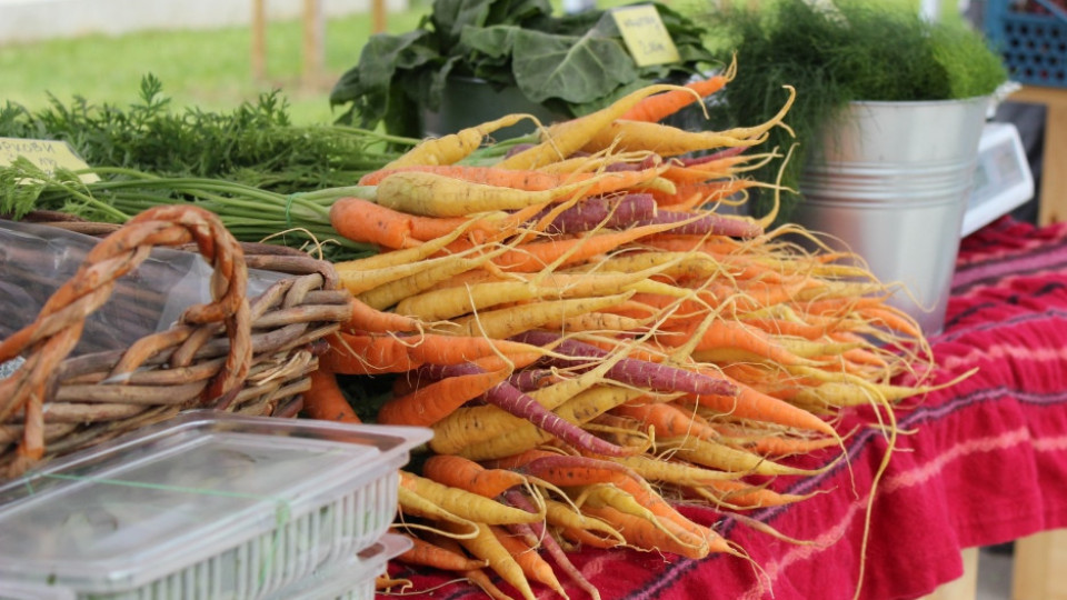 Фермерски вкусотии на пазара в магазин на Лидл | StandartNews.com